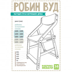 Стул для школьника для дома